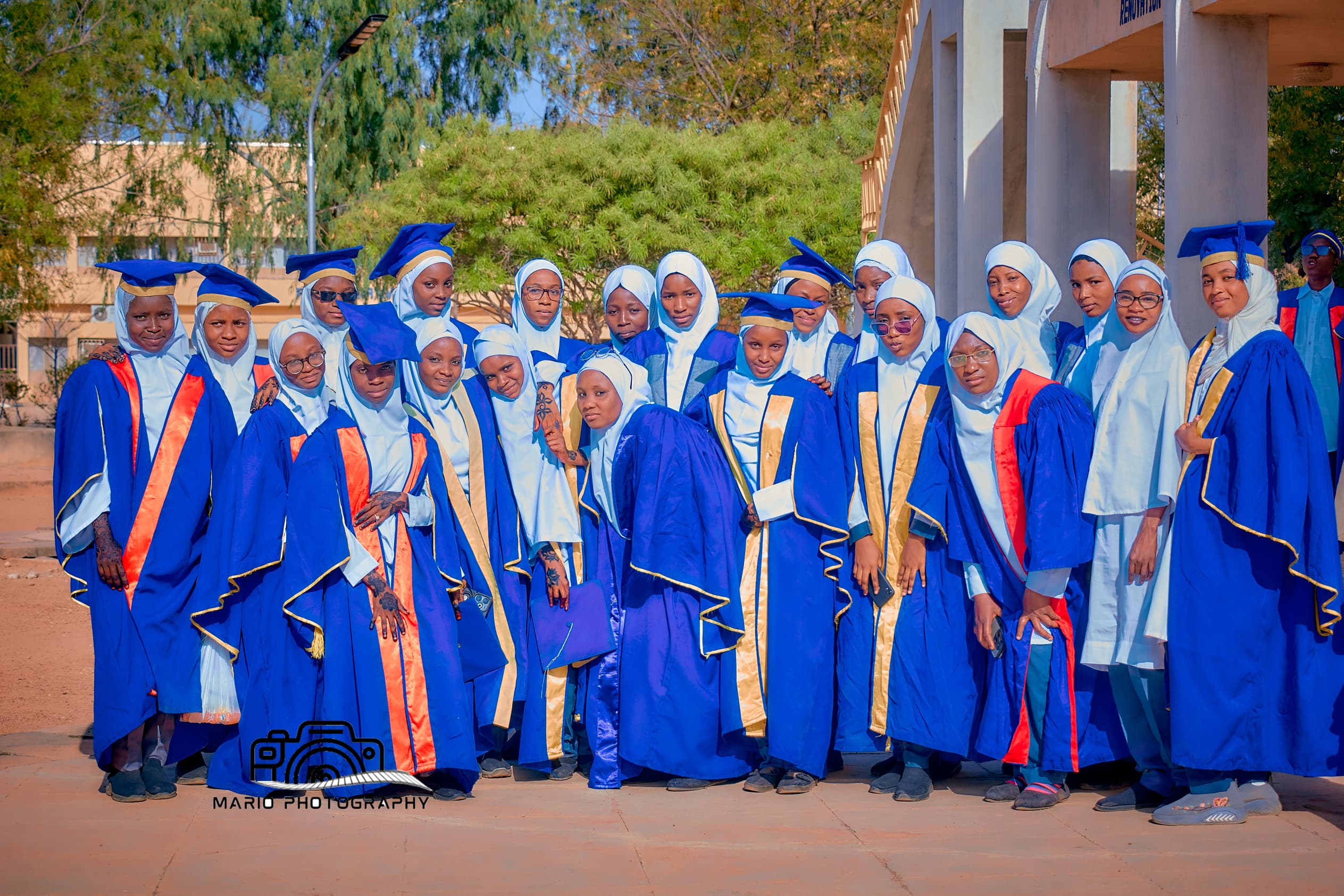 Building Bridges to Professional Excellence